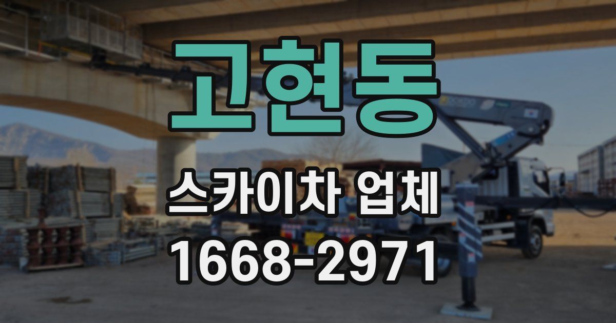 고현동 스카이차 업체