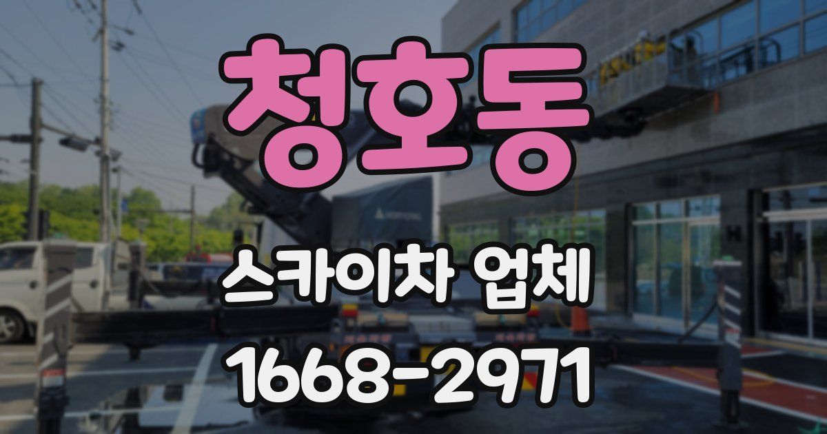 청호동 스카이차 업체