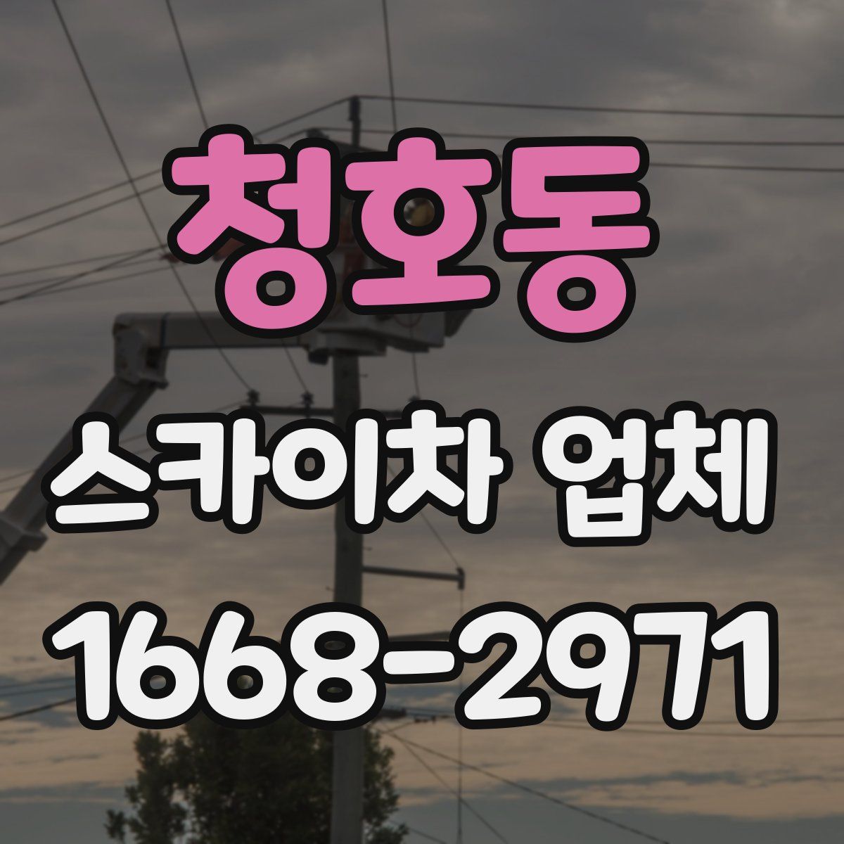 청호동 스카이차 업체
