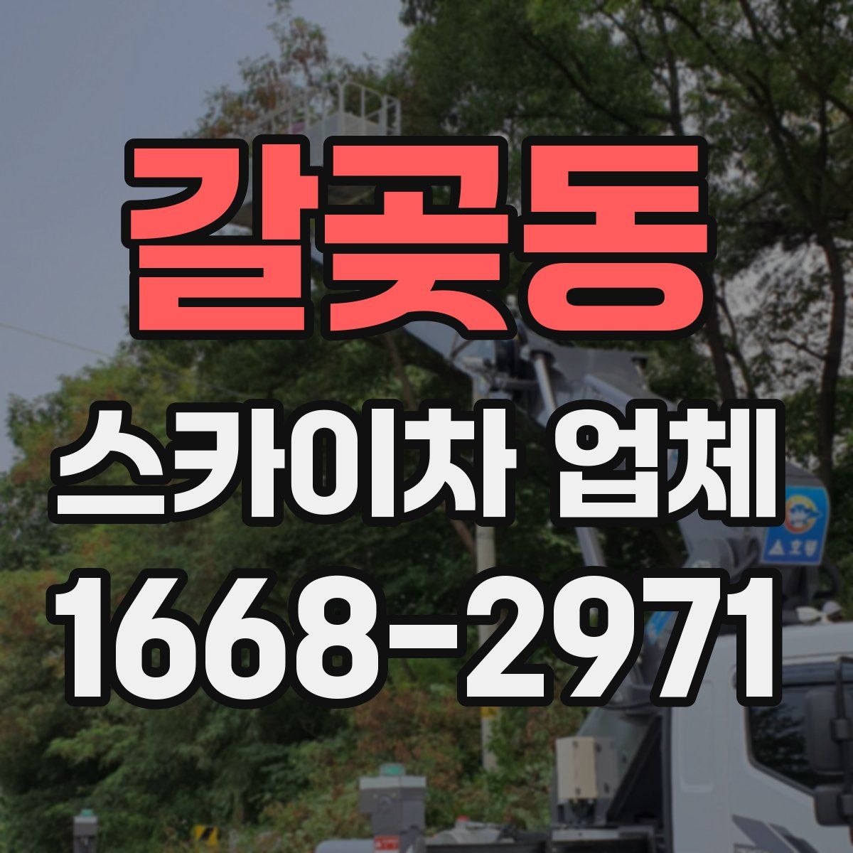갈곶동 스카이차 업체
