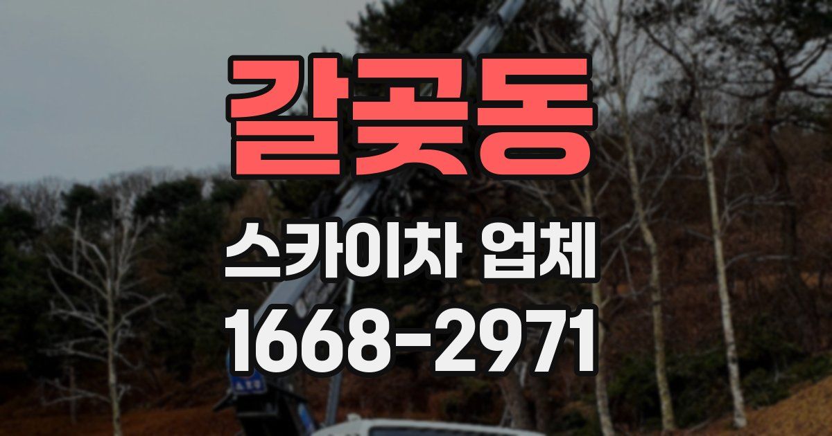 갈곶동 스카이차 업체