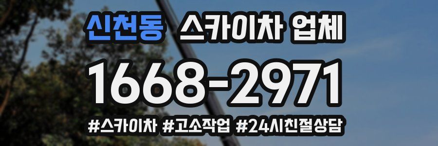 신천동 스카이차 업체
