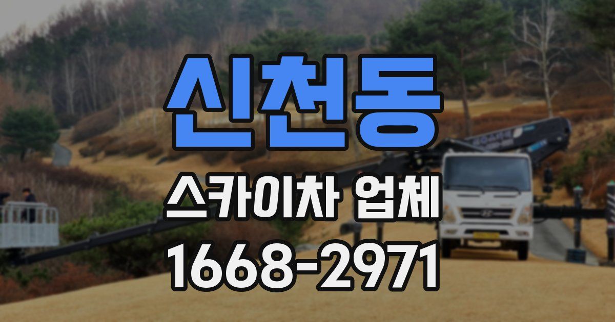 신천동 스카이차 업체