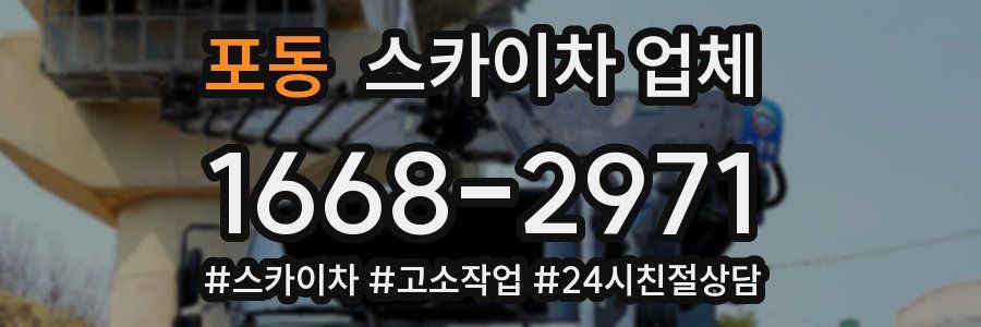 포동 스카이차 업체