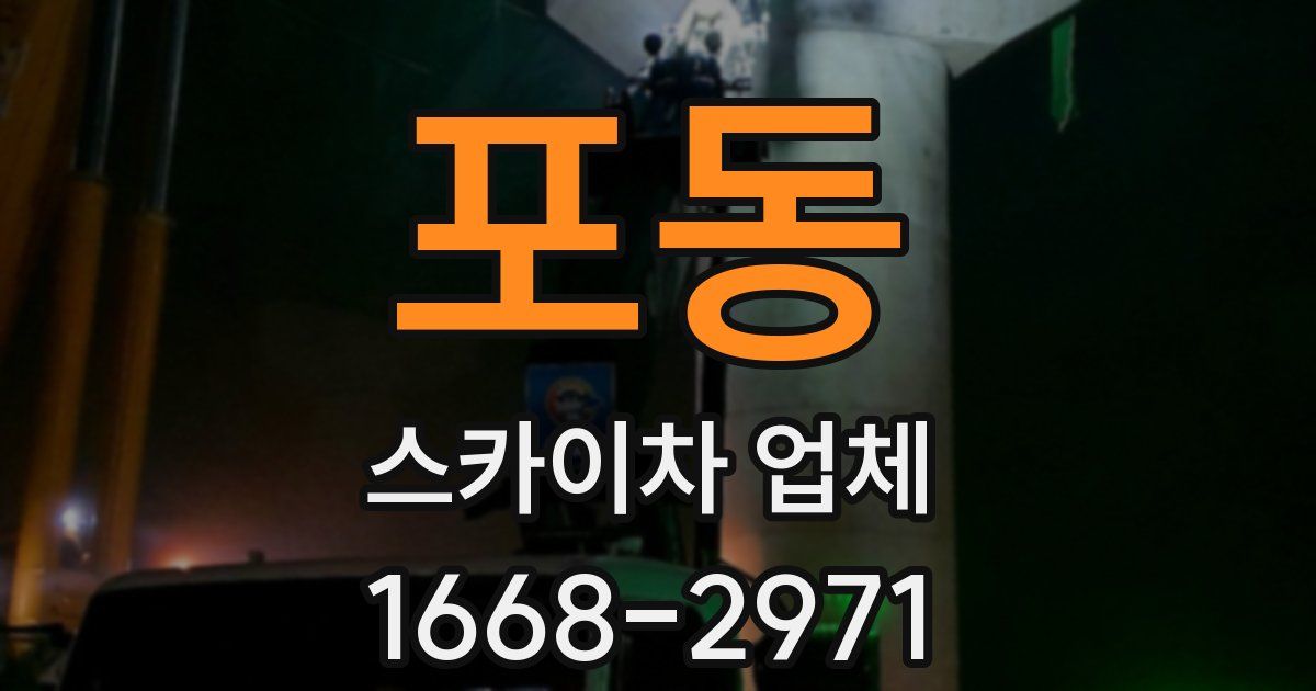 포동 스카이차 업체