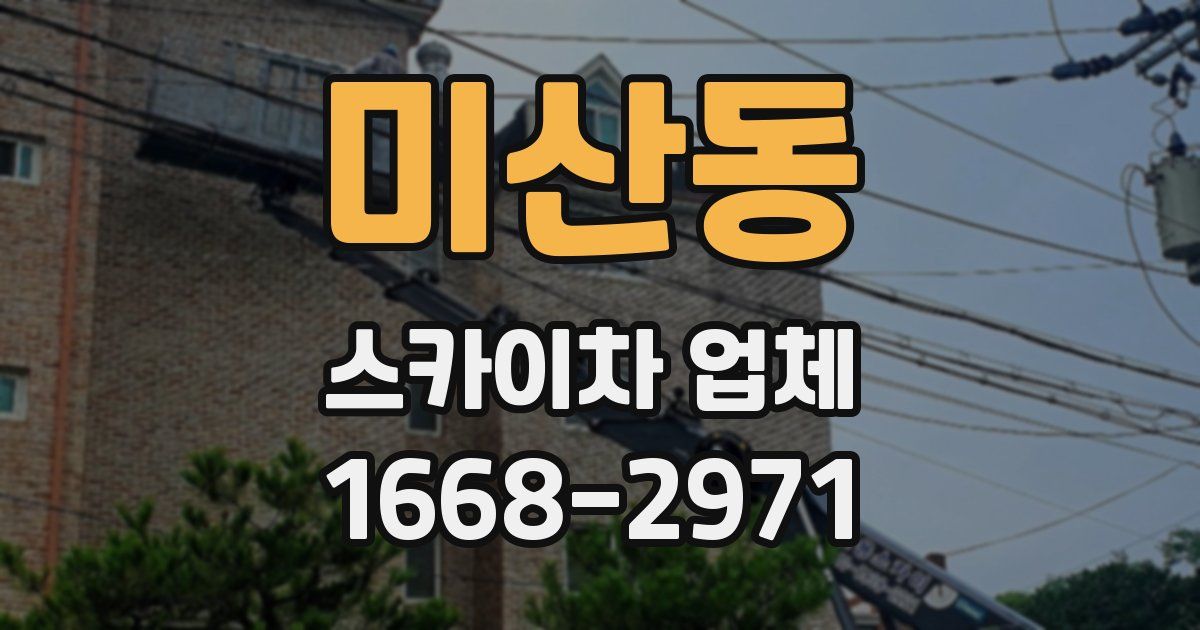 미산동 스카이차 업체