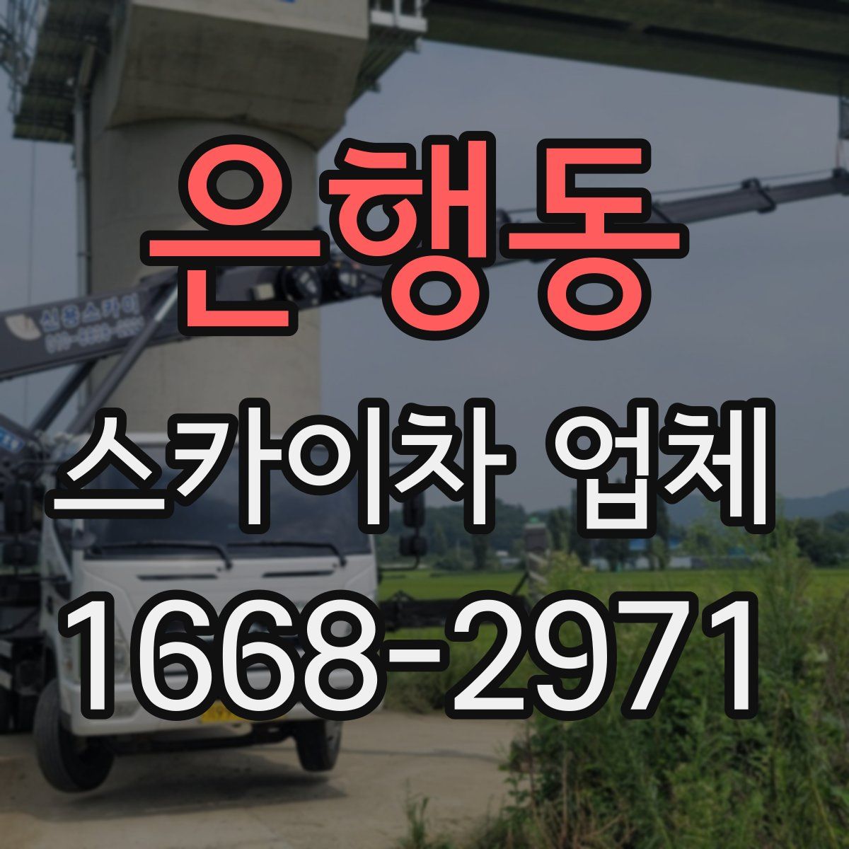 은행동 스카이차 업체