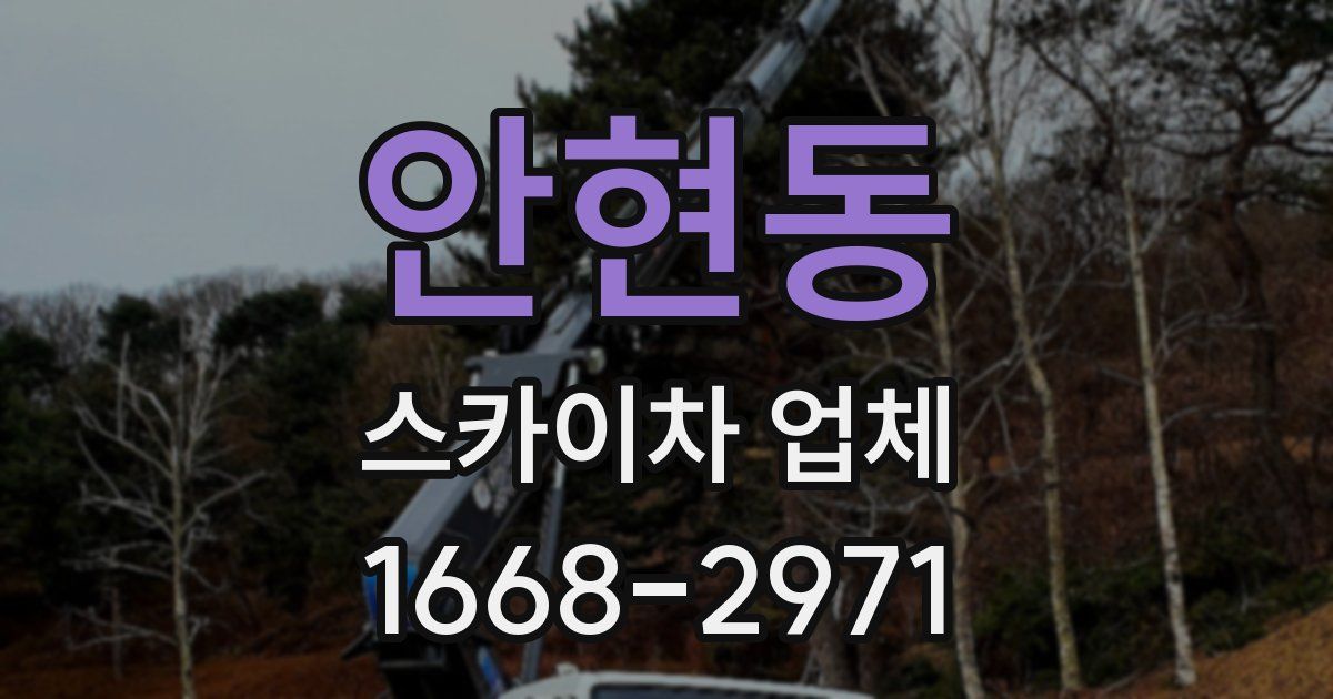 안현동 스카이차 업체
