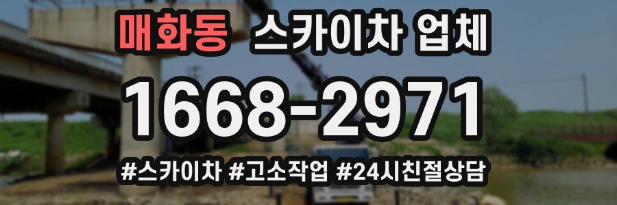 매화동 스카이차 업체