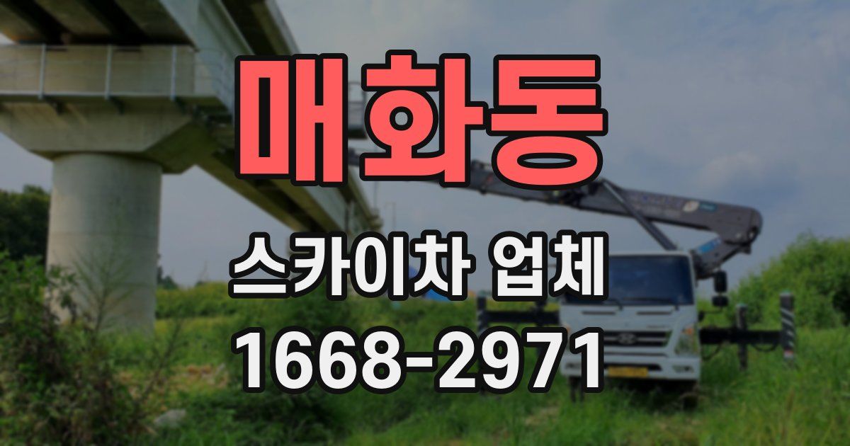 매화동 스카이차 업체