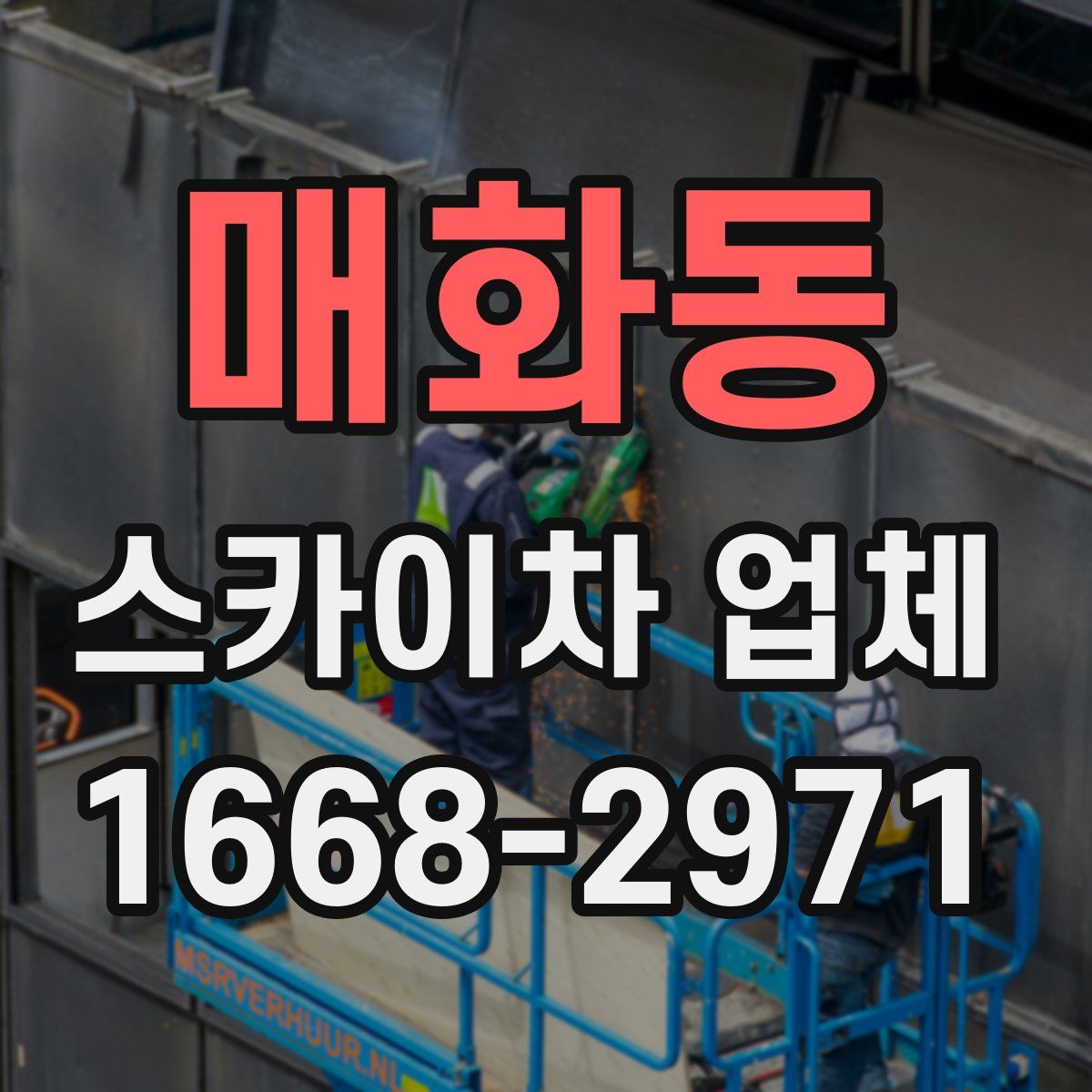 매화동 스카이차 업체