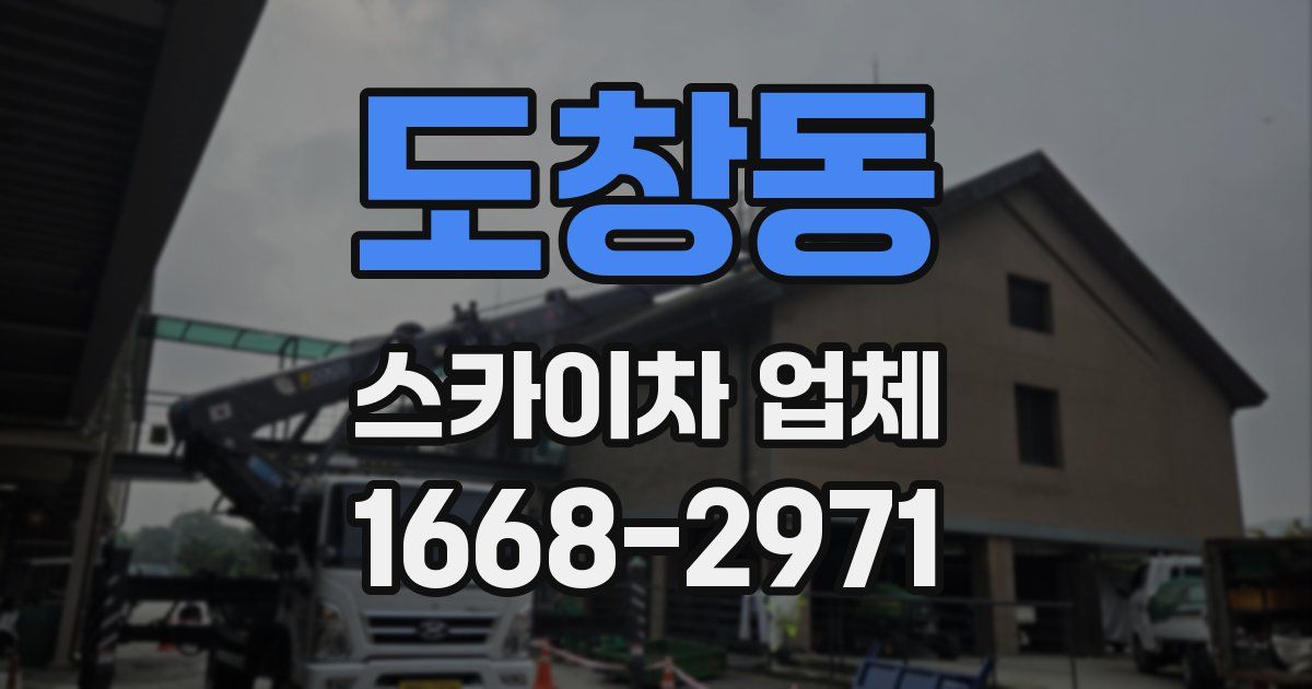 도창동 스카이차 업체