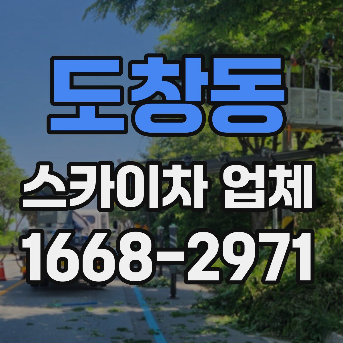 도창동 스카이차 업체