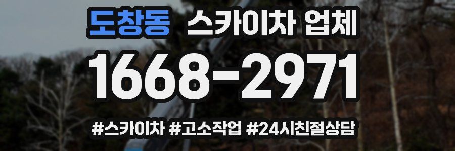 도창동 스카이차 업체