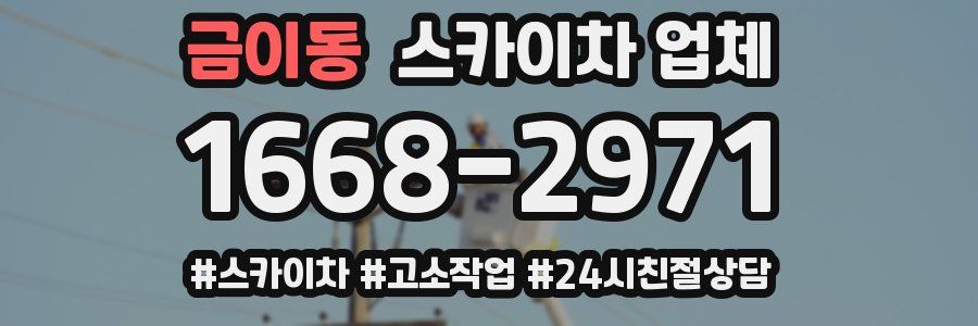 금이동 스카이차 업체