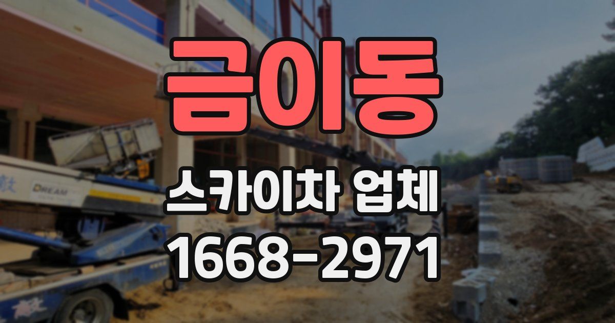 금이동 스카이차 업체