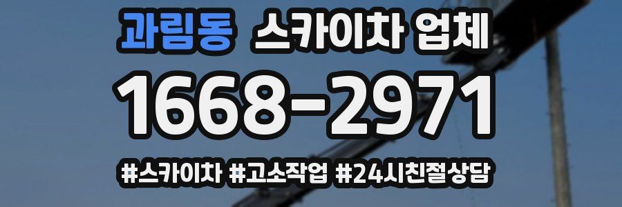 과림동 스카이차 업체
