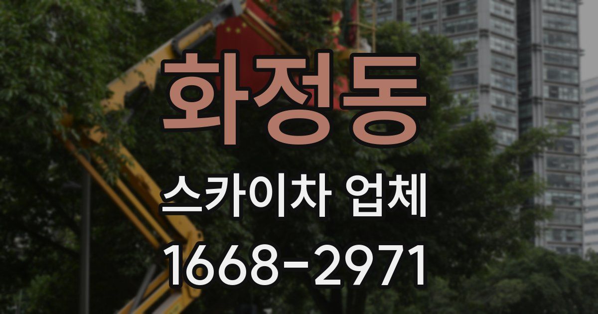 화정동 스카이차 업체