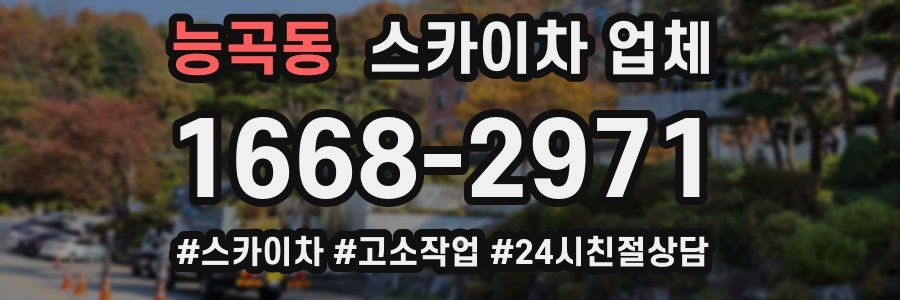 능곡동 스카이차 업체