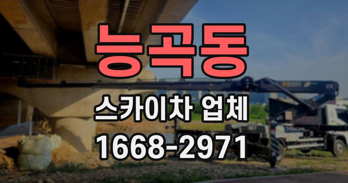 능곡동 스카이차 업체