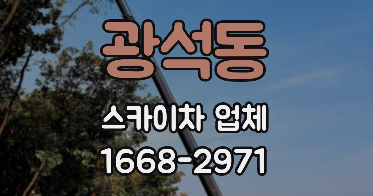 광석동 스카이차 업체