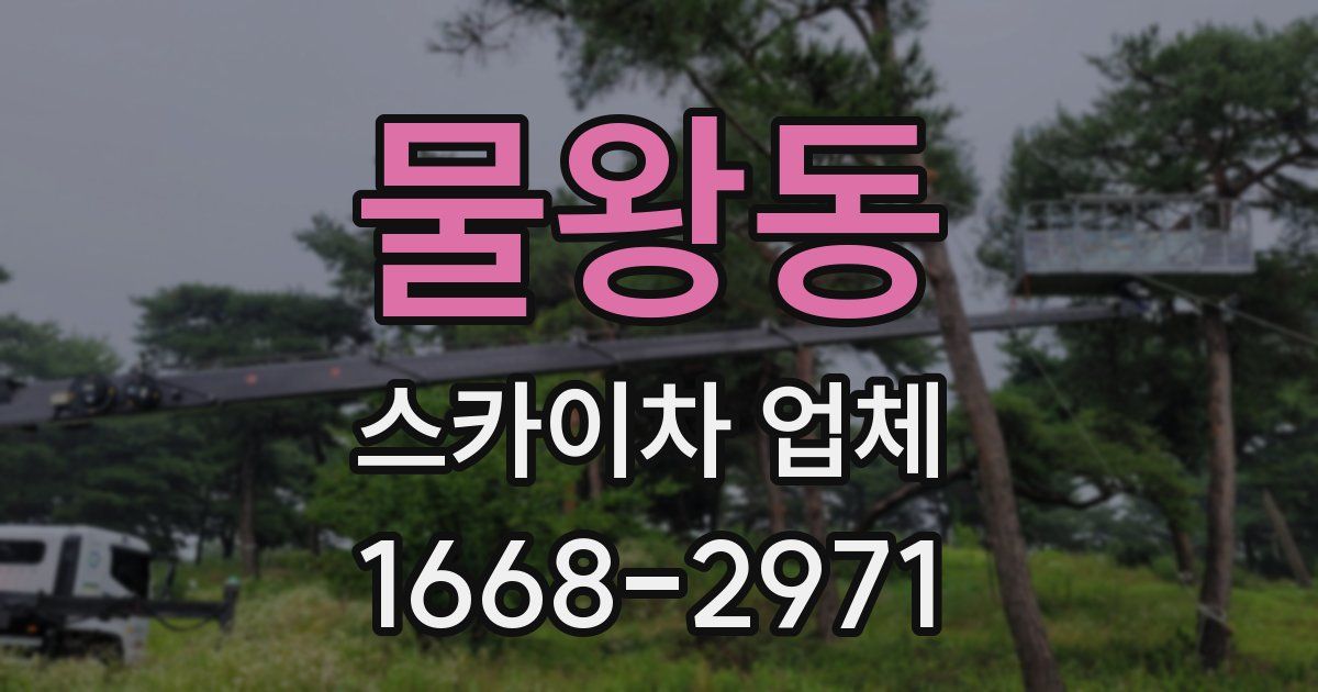 물왕동 스카이차 업체