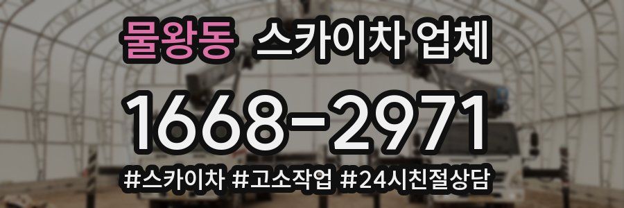 물왕동 스카이차 업체
