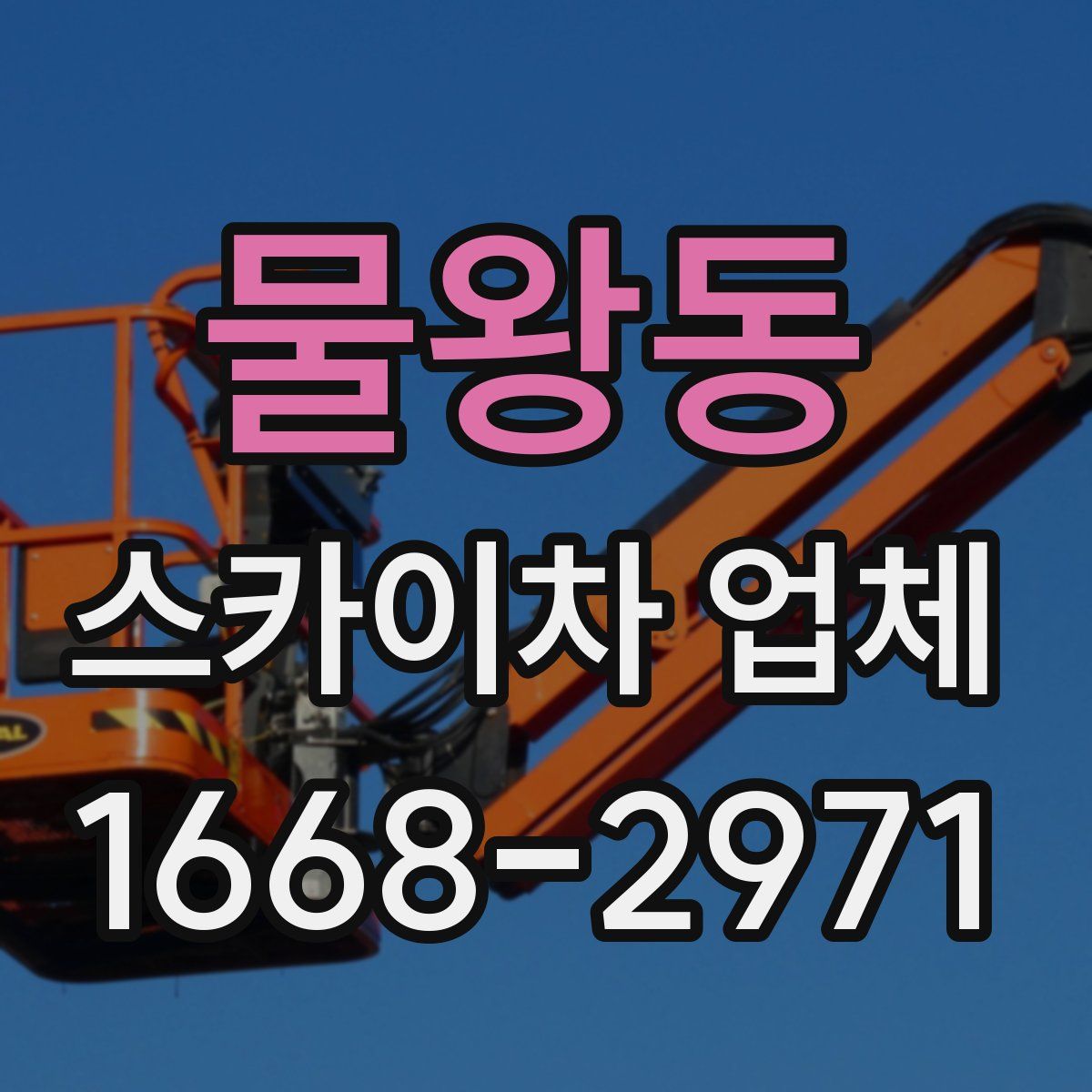 물왕동 스카이차 업체