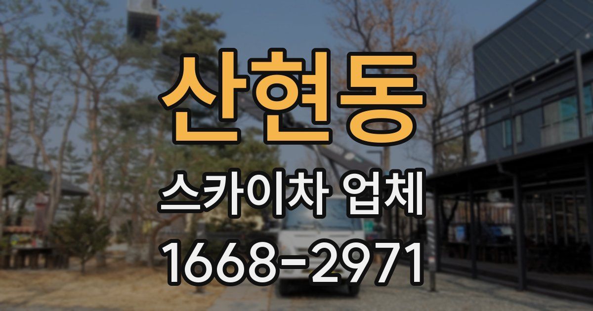 산현동 스카이차 업체
