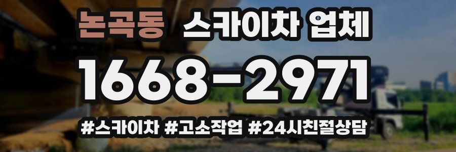 논곡동 스카이차 업체