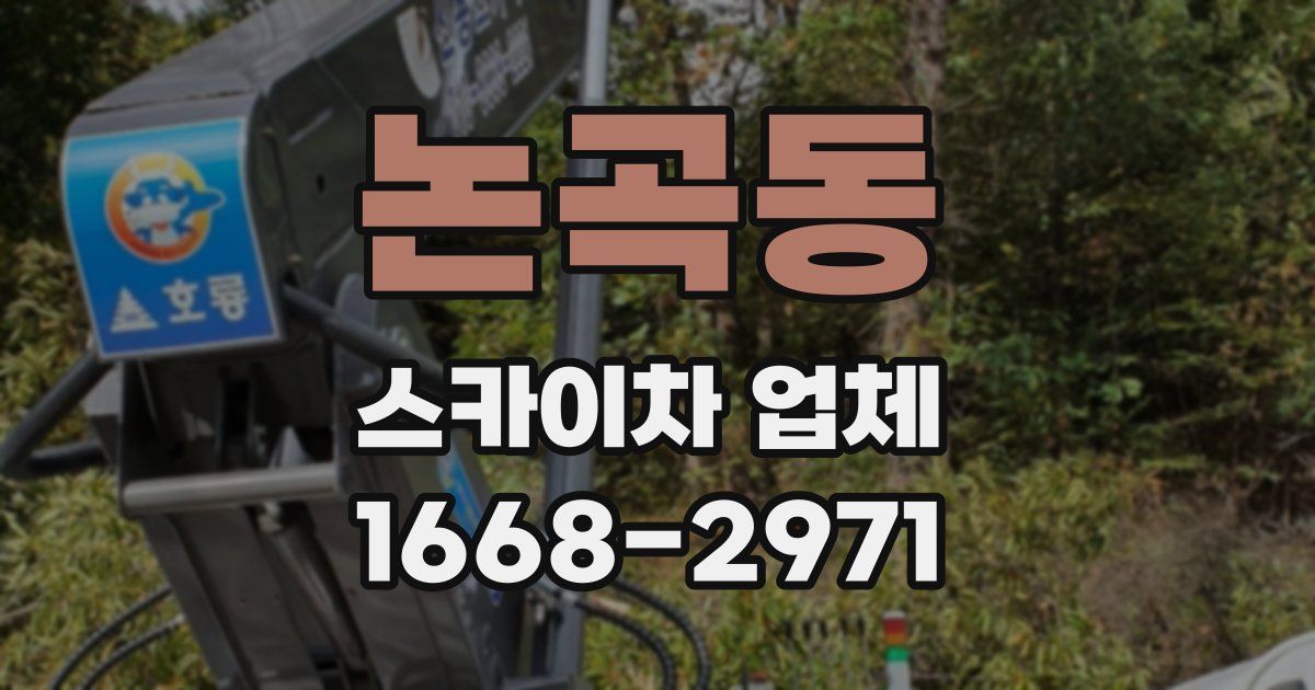논곡동 스카이차 업체