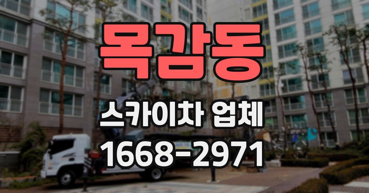 목감동 스카이차 업체