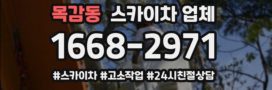 목감동 스카이차 업체