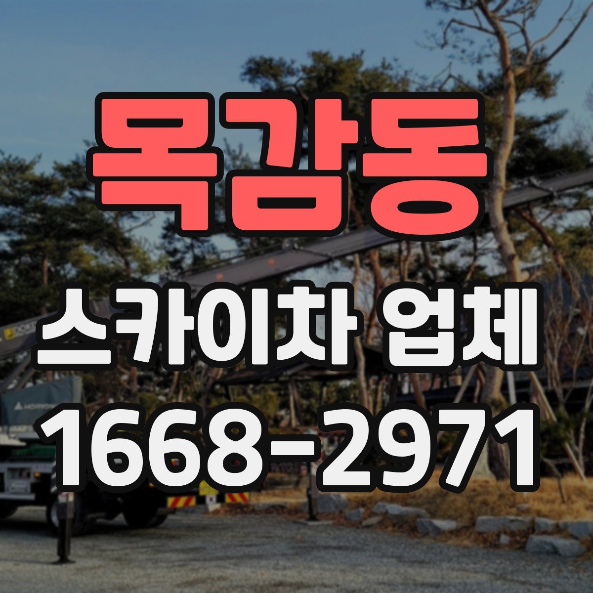 목감동 스카이차 업체