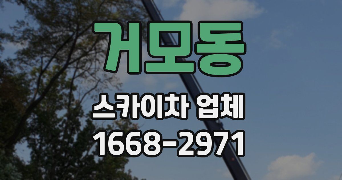 거모동 스카이차 업체