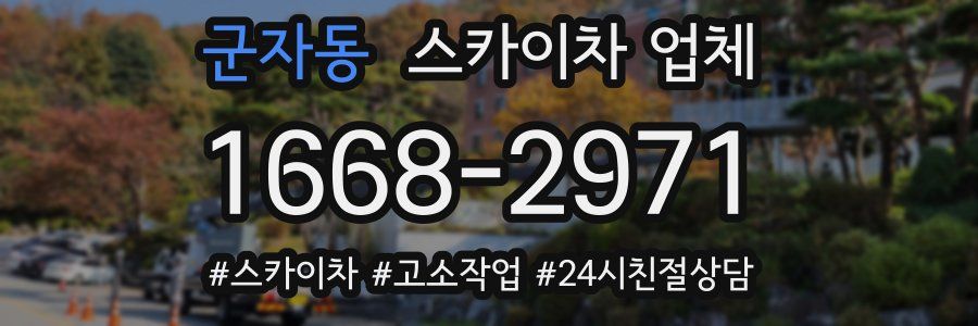 군자동 스카이차 업체
