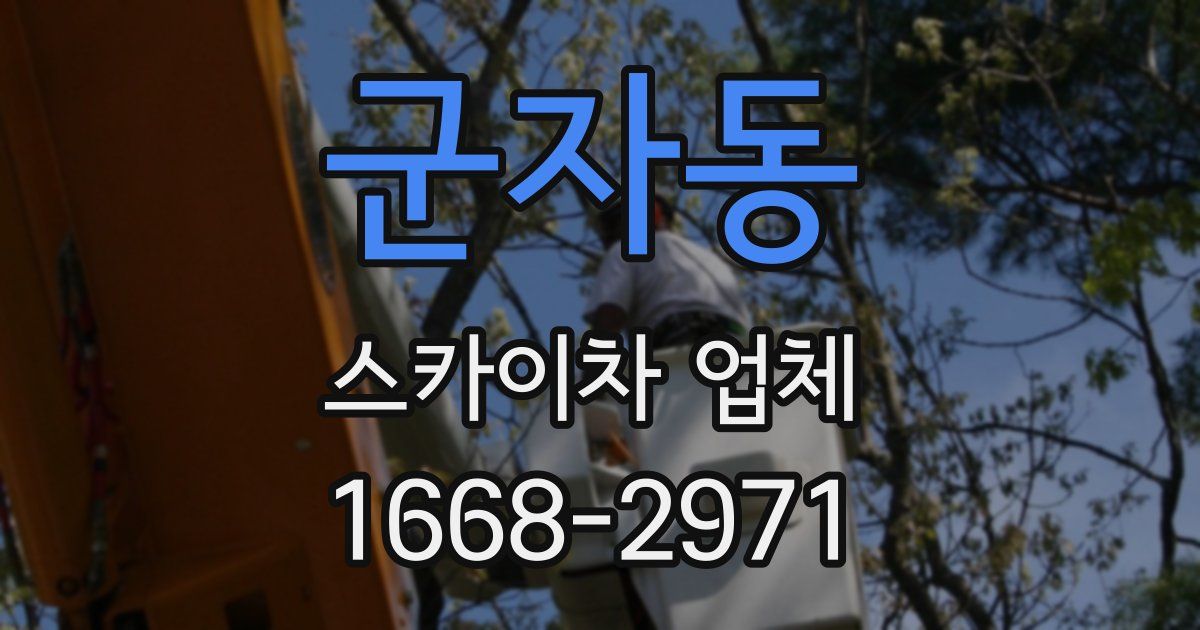군자동 스카이차 업체