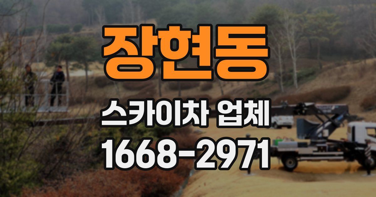 장현동 스카이차 업체