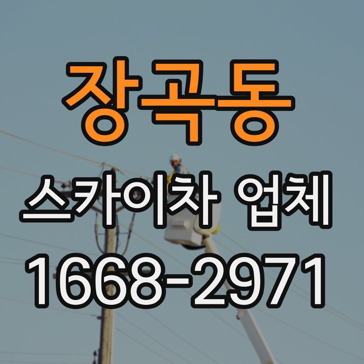 장곡동 스카이차 업체
