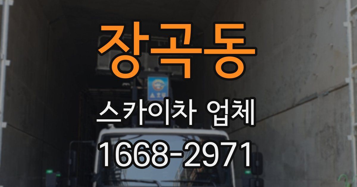 장곡동 스카이차 업체