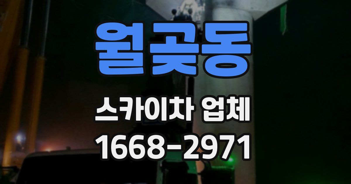 월곶동 스카이차 업체