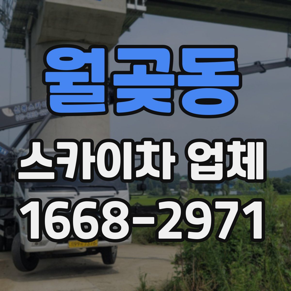월곶동 스카이차 업체