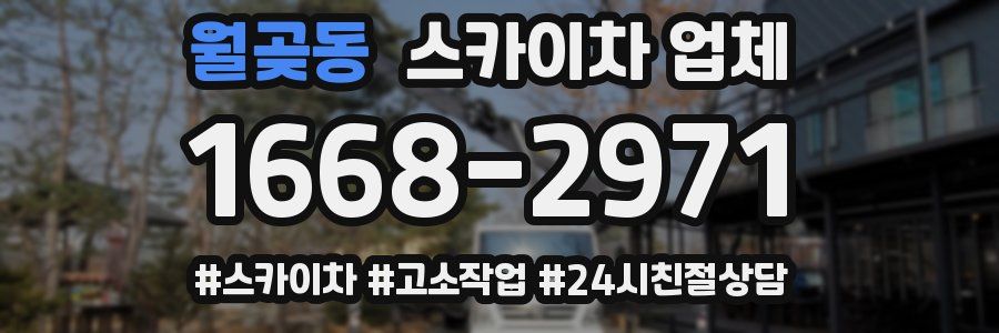 월곶동 스카이차 업체