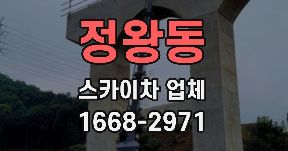 정왕동 스카이차 업체