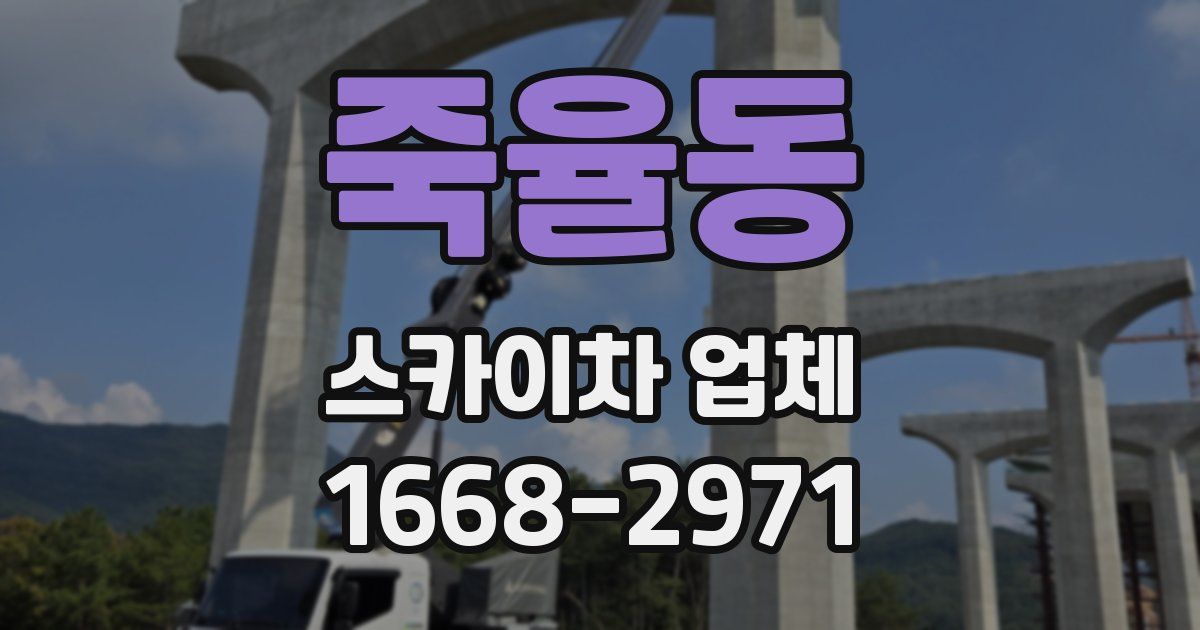 죽율동 스카이차 업체
