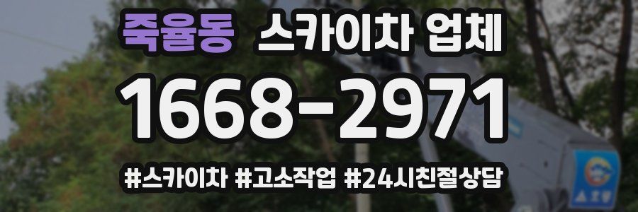 죽율동 스카이차 업체