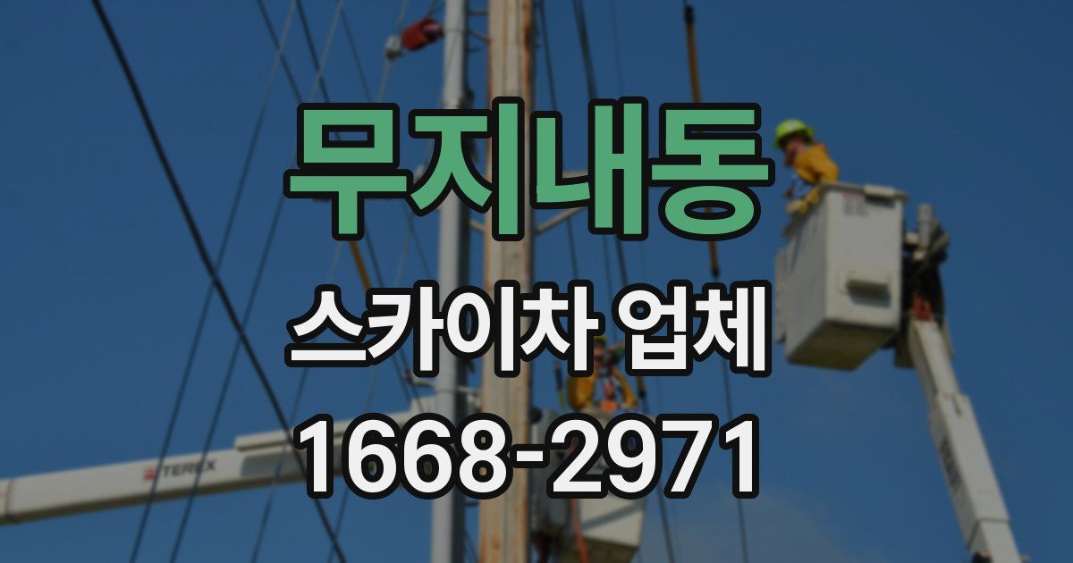무지내동 스카이차 업체
