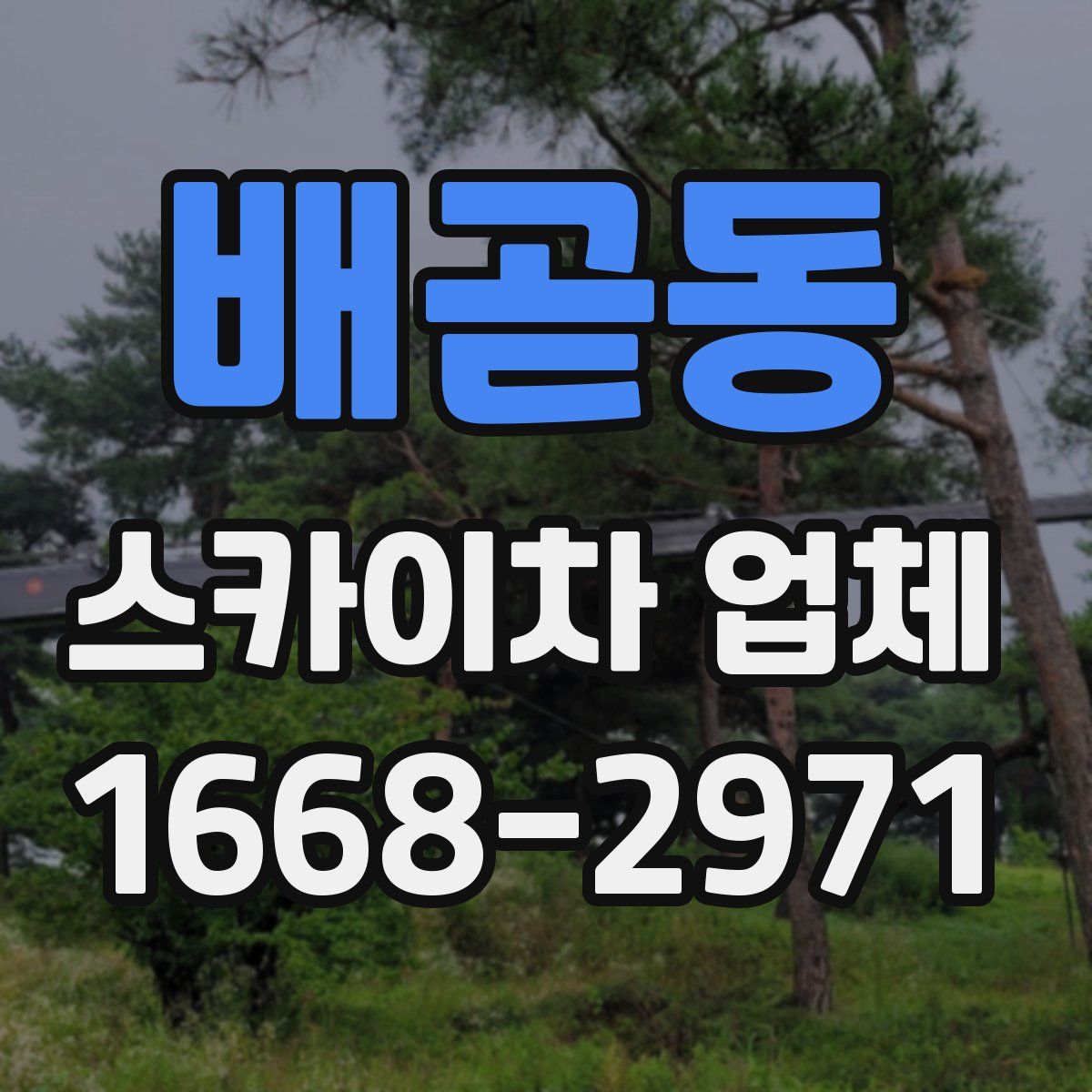 배곧동 스카이차 업체