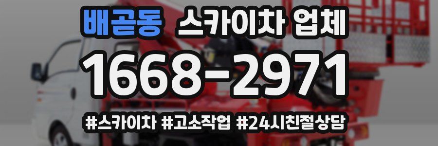 배곧동 스카이차 업체