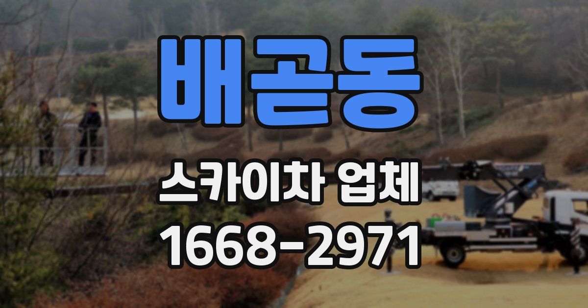 배곧동 스카이차 업체